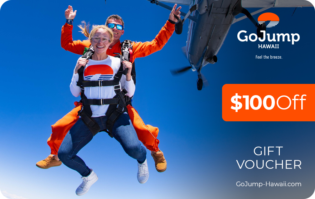 $100 Off Gift Voucher